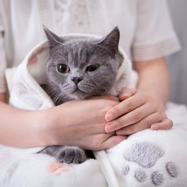 Pehmeä ja mukava lemmikkipyyhe Paw Mat -koirien ja kissojen (Beige) DXGHC