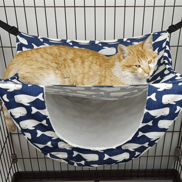 Katthängmatta kattbo kattkoja husdjurstillbehör korg (val