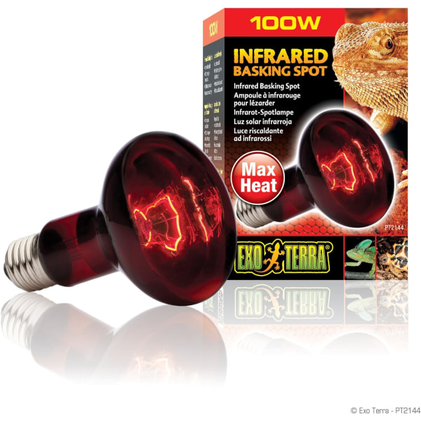 Reptillampe 100W infrarød solbadsplet
