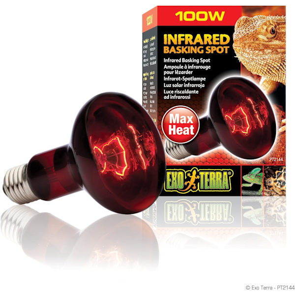 Reptillampe 75W infrarød solbadsplet