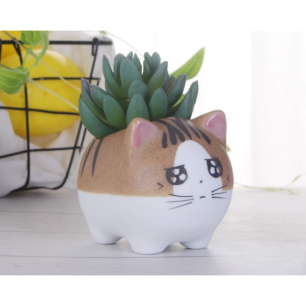2 st. Katt Succulentkrukor, med Dräneringshål, Blomma Po DXGHC