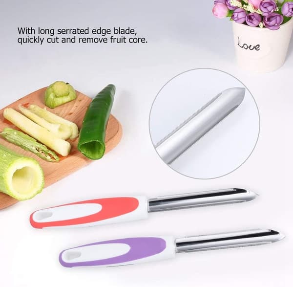 2 stk. Zucchini-udkerner, Zucchini/Agurk-udkerner, Zucchini-udkerner DXGHC