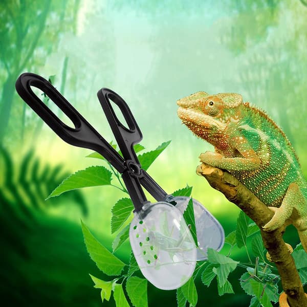 5 Pak Reptil Foderredskaber Pincet Skål Og Padde Tang DXGHC