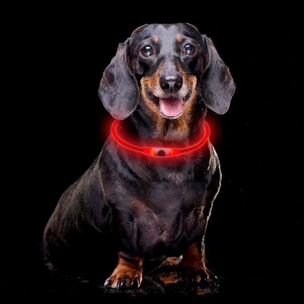 Ladattava valoisa koiranpanta, LED-kaulapanta, säädettävä pituus
