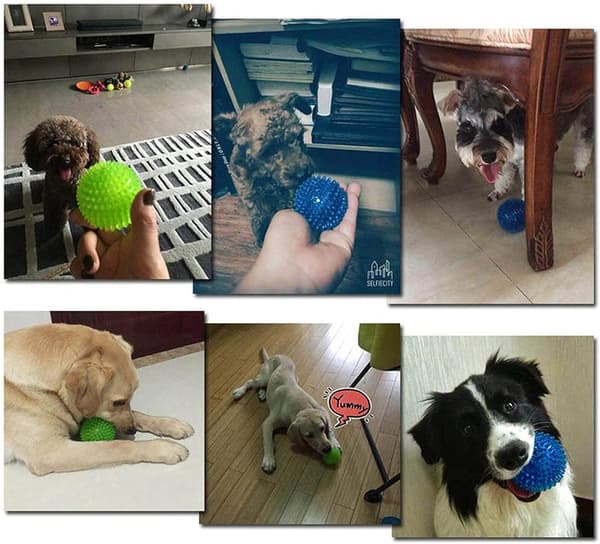 Hunde-Piball Bløde Stab-Bolde Til Tygning Og Tandpleje