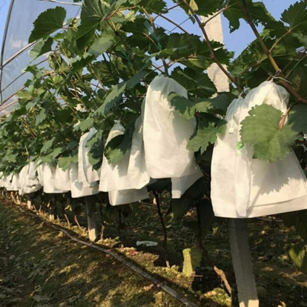 100 stycken Garden Grape Fruktskyddspåsar Skogsfrukt Vegeta