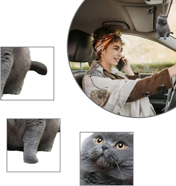 Slitstark Bilbackspegelhänge Levande Katt Bakåtblickande DXGHC