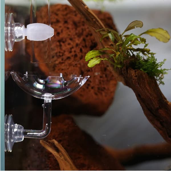 Räkfoderbricka Skål Räkfoderbricka Skål Akvarium S