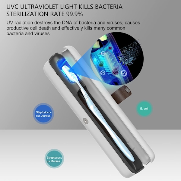 Bærbar UV-tandbørste desinfektionsmiddel rejsetaske UV-C LED sterilisering og genopladelig sterilisator boks rengøringsholder passer