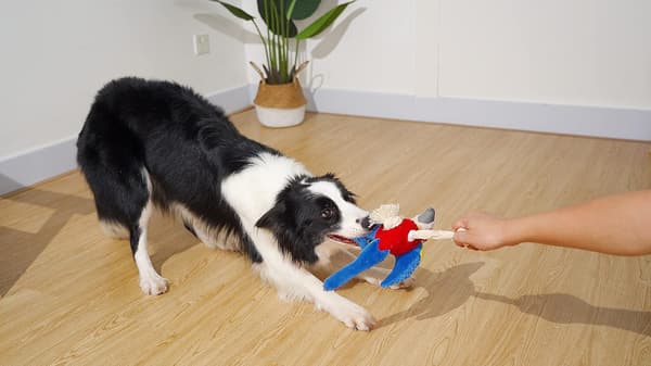 Hunde leker Plussj hundleker Interaktive plusj hundleker for små og