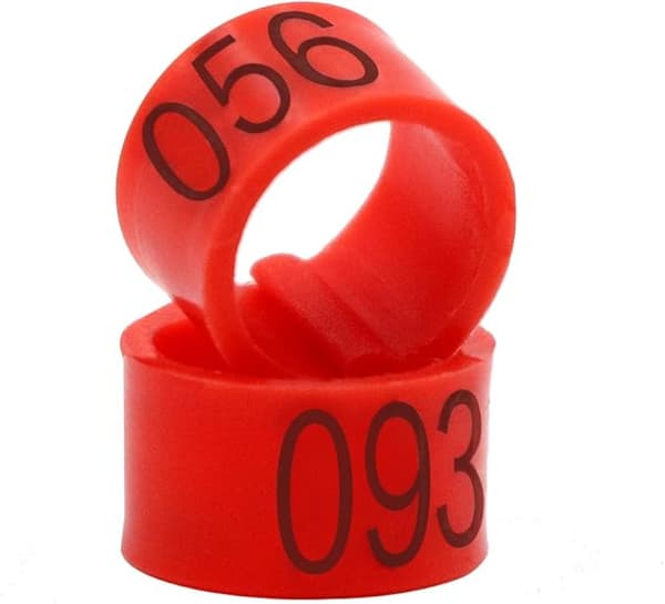 100 st/påse 16MM 001-100 Numrerade Plastfågelben Multifärgade DXGHC