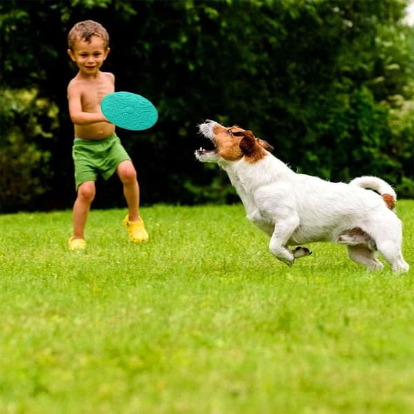 Frisbee Hundelegetøj, 2 Diskhundelegetøj, Hundefrisbee, Hundelegetøjsfrisbee, Brugt F