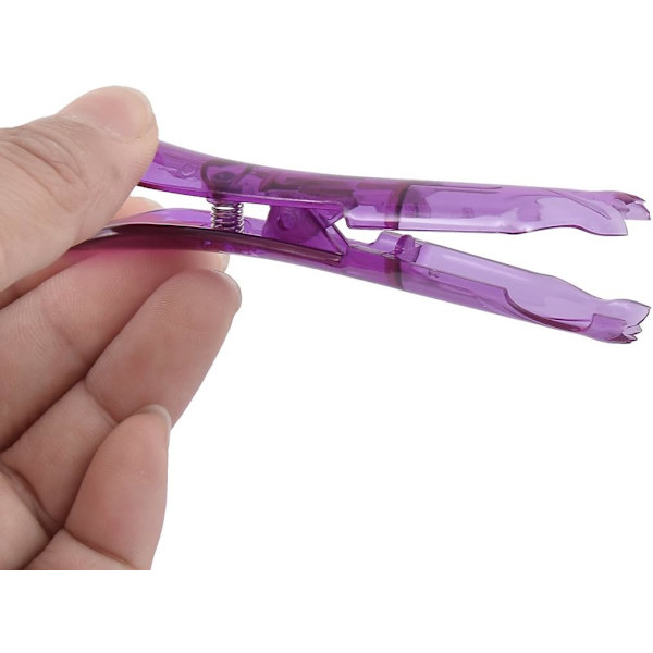 2 st Plastfjäder Frukt Druv Urkärnare Kökskärnare