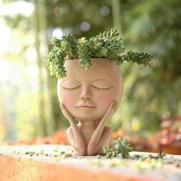 1 Stycke Ansiktsblomkruka Huvudblomkruka Blomkruka Succulent Flow