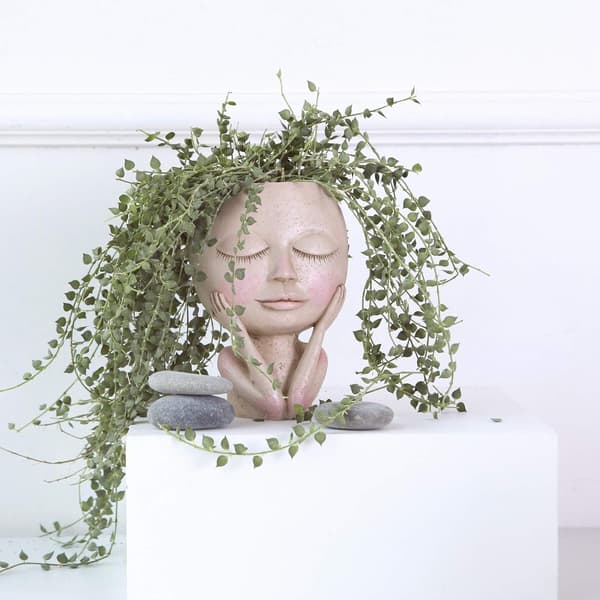 1 Stykke Ansikts Blomsterpotte Hode Blomsterpotte Sukkulenter Flow