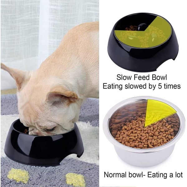 Anti-Glutton Skål för Hund Katt, Halksäker Matskål som Pro DXGHC