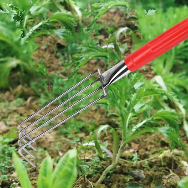 Sjømatgraving Rake, Strandskjell Rake, Lett Ugresshake