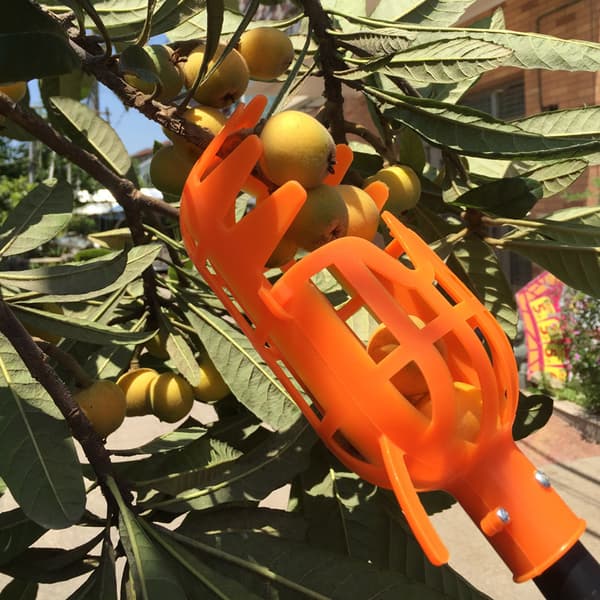 Fruktplukker, Fruktplukker Håndplukker, Fruktplukkerkurv (Hode