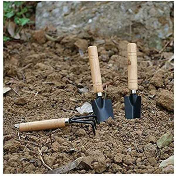Svart 3-delt sett med mini hageredskaper Skovl Rake Spade Sukkulenter