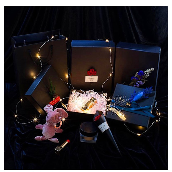 6 st Micro 2m 20 LED-lampor Batteridrivna Stränglampor Koppar