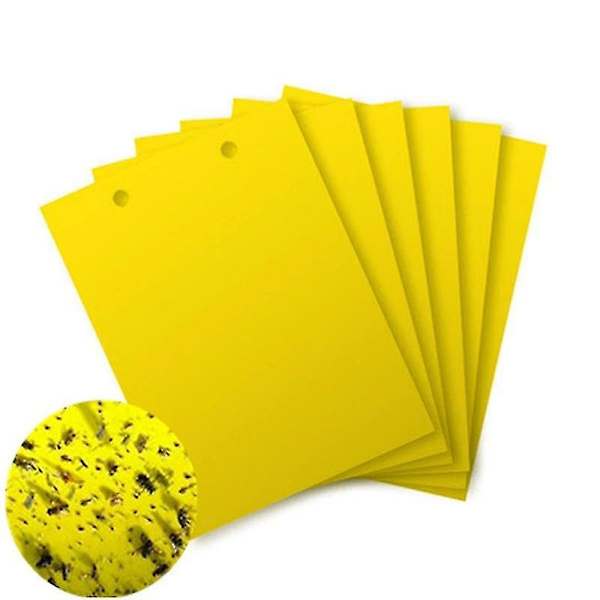 Dww-5 st Dubbelsidigt Sticky Board Trap Sticker Flugor Bladlöss DXGHC