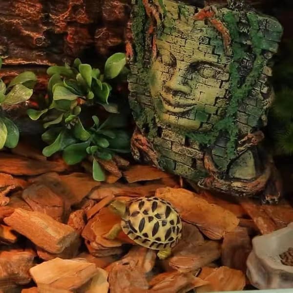 Akvariumdekorasjoner, Akvarium Romersk Hode Statue, Akvarium Dekor