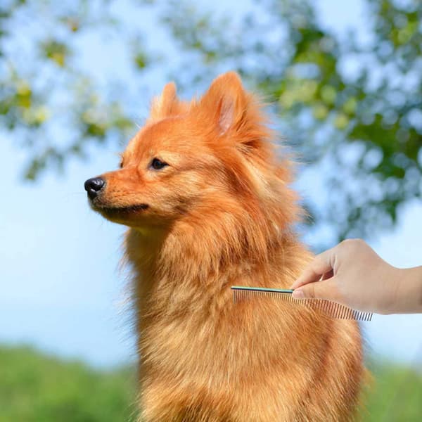 Hundefrisørkam i rustfritt stål, renser pels, rundtannet