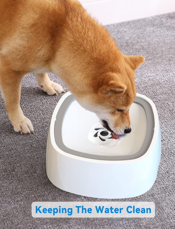 Stänksäker Vattenkopp, 1 L Hund/Katt för Resa/Utomhus/Hem