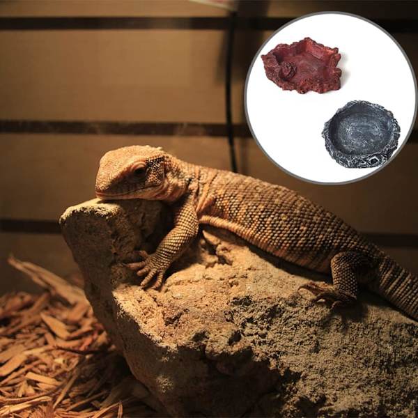 2 stk. Reptilfoderautomater, Reptilskåle, Vandbakker til Firben, T
