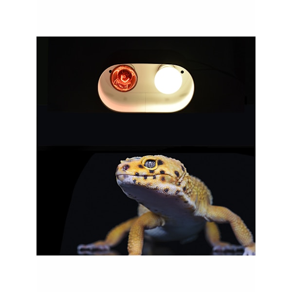 Kombination Dobbelt Reptil Dyb Dome Lysarmatur til Reptil Li