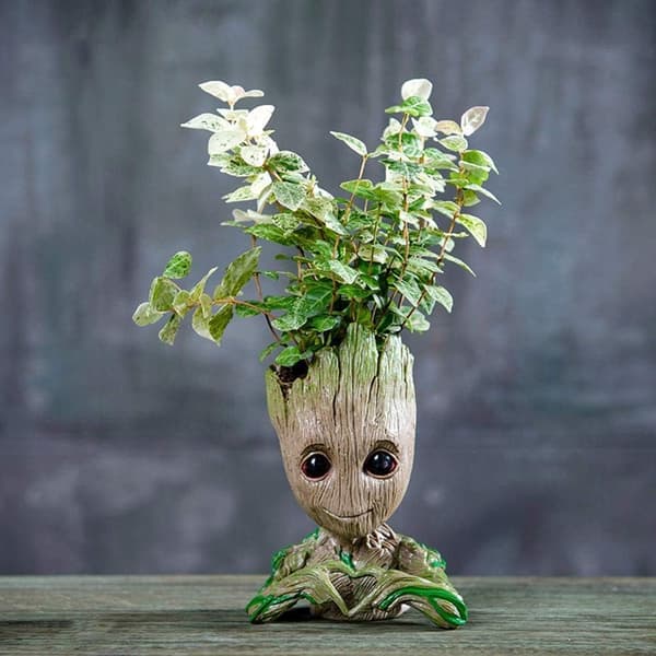 Dewenwils Blomsterpotter - Kreative potter til sukkulenter DXGHC