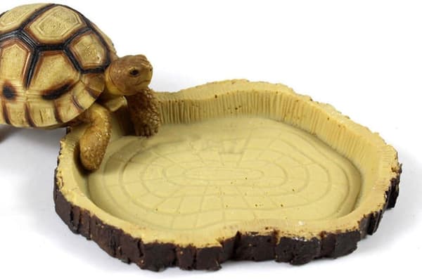 Miniatyrmaträtter Reptilmat Vivarium Djur Sköldpadda Gecko Orm