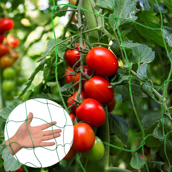 Plant klätternät, grön trädgårdsskötsel Tomat Passionsfrukt Grape Si