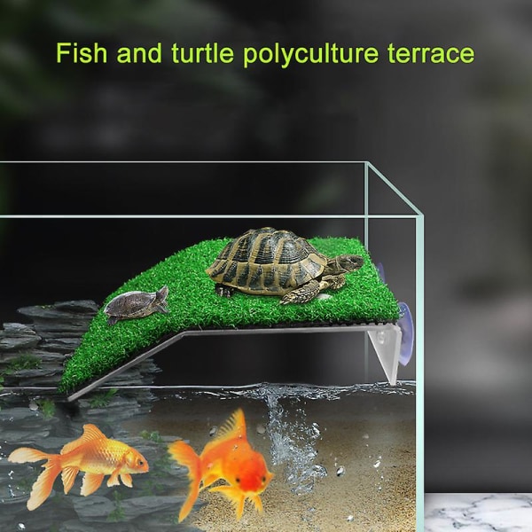 Reptilklättringsplattform Sköldpaddsklättring Sten Fish Tank Landscapin