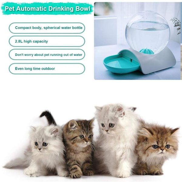 Kattfontän, Plastbubbla Husdjursvattenmatningskopp Automatisk Hig