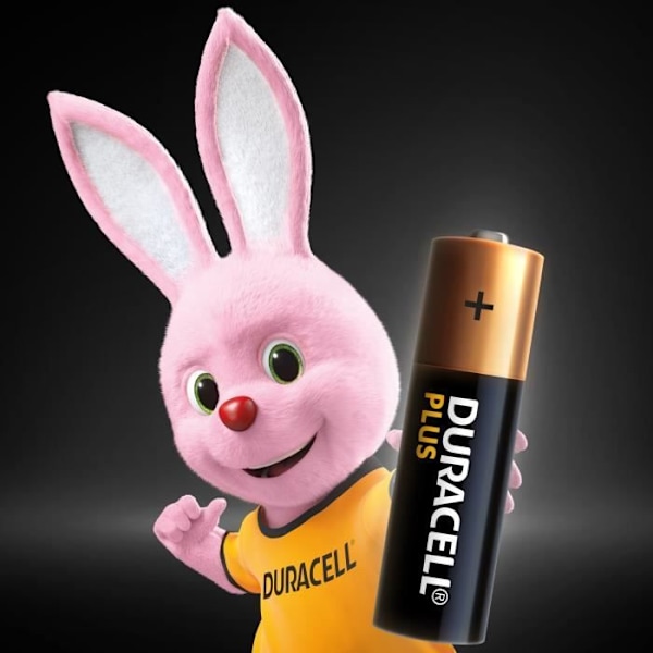 Duracell Plus Alkaline Paristot AA, 1,5V LR6 MN1500, pakkaus 24
