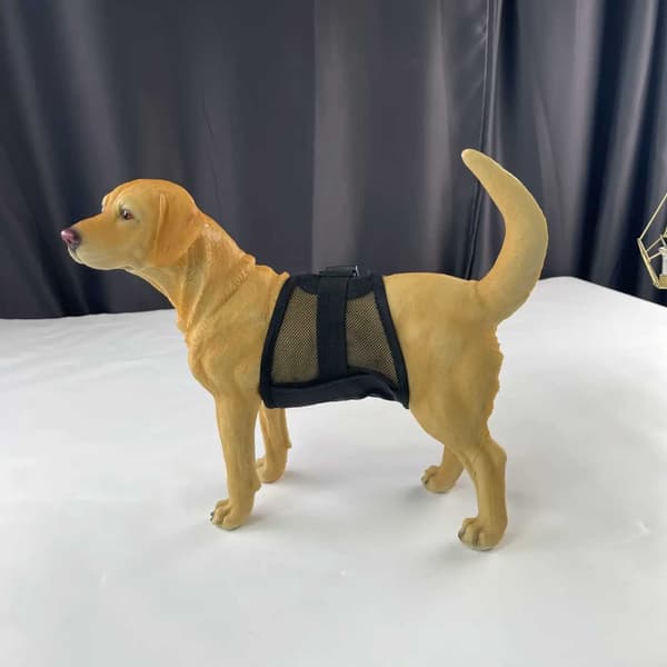 Genanvendeligt mavebælte til hanhunde, absorberende urinindpakning til markering og parringskontrol, vaskbart