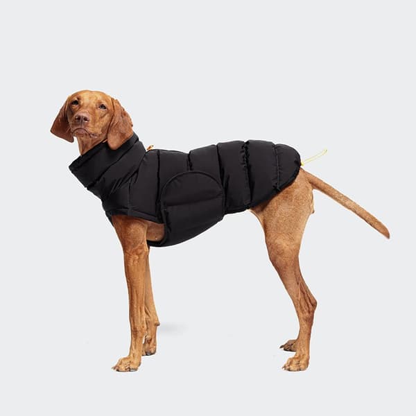 Varm husdjursjacka för hundar och katter, bomull, höst vinter, militärgrön Black M-back length 40cm