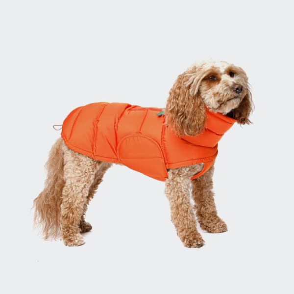 Varm bomullsjacka för husdjur, höst- och vinterjacka för utomhusbruk, militärgrön Orange Red M-back length 40cm