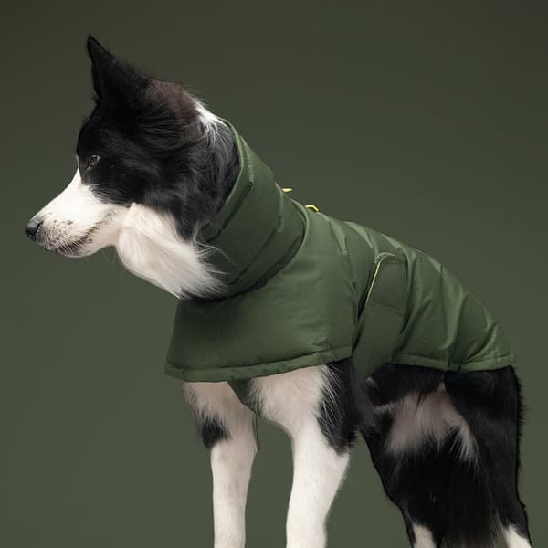 Varm husdjursjacka för hundar och katter, bomull, höst vinter, militärgrön Black M-back length 40cm