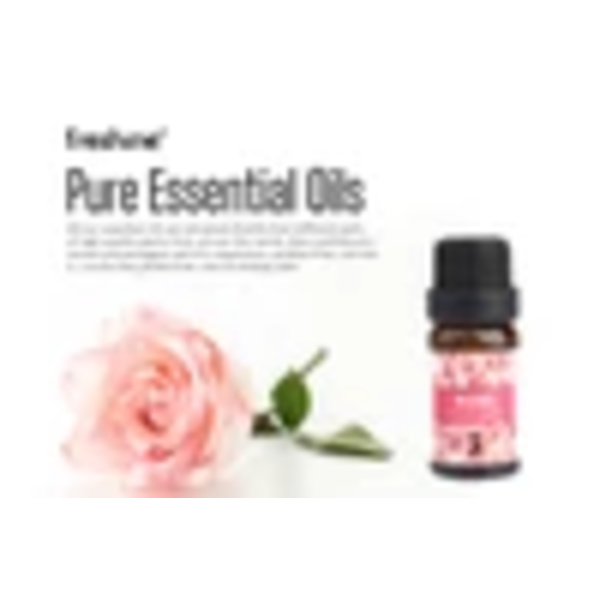 6-pack Naturliga Eteriska Oljor 10ml Set Vattenlösliga För Aromaterapi Diffuser Presentförpackning