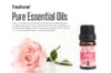 6 stk. Naturlige æteriske olier 10 ml sæt vandopløselige til aromaterapi diffuser gaveæske