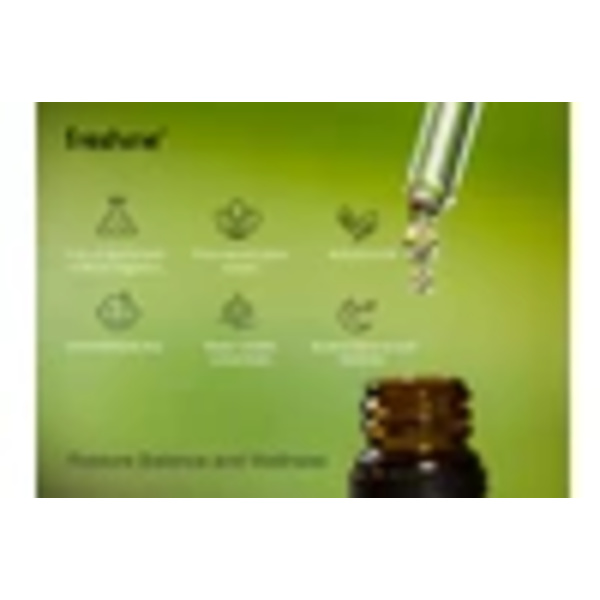 6-pack Naturliga Eteriska Oljor 10ml Set Vattenlösliga För Aromaterapi Diffuser Presentförpackning