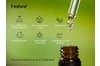 6 stk. Naturlige æteriske olier 10 ml sæt vandopløselige til aromaterapi diffuser gaveæske