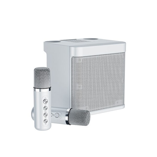 100W YS-203 bärbar professionell karaoke-högtalare med dubbla mikrofoner, Bluetooth-kompatibel, smart extern karaoke-enhet Red