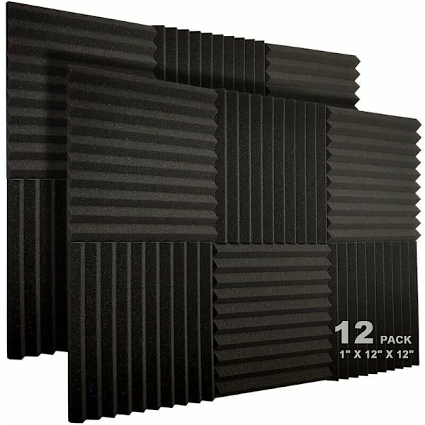 12-pack akustikpaneler 10 platser 1 x 12 x 12 tum