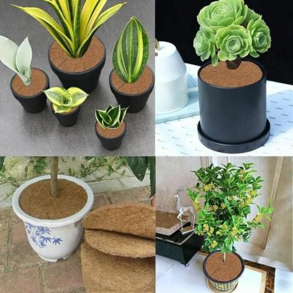 Coir Plantematte, Coir Disc, Coir Mulching Disc, Vinterbeskyttelse for potteplanter, Beskytt røttene til Potted P
