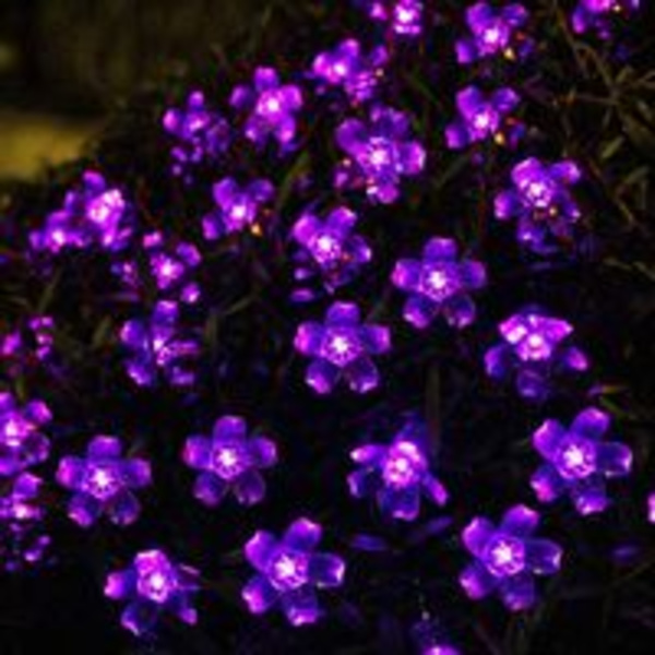 Solar Lantern, 23Ft/7M 50Led Peach Blossom Dekorativa Solar String Lights för utomhusträdgård