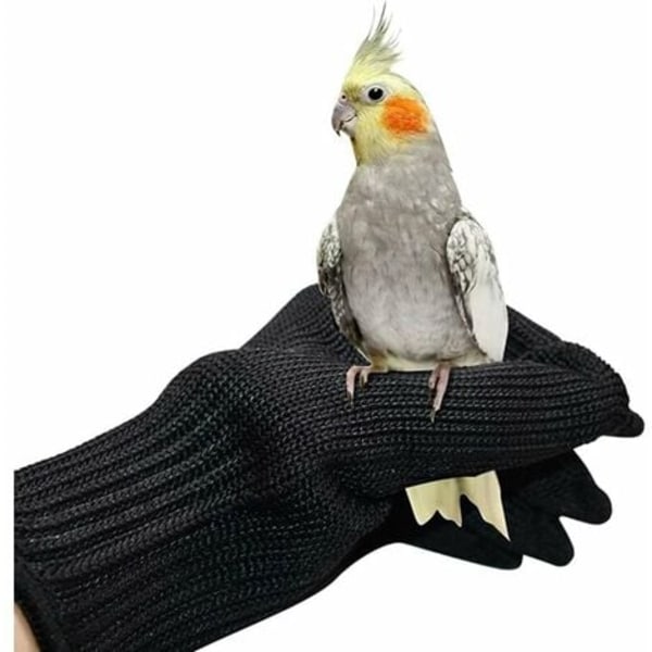 Parrot Anti-Bite Handsker Dyrepolstring Ridsefuglehåndteringshandsker Anti-Bite Træningshandsker af ståltråd Et par (sort)