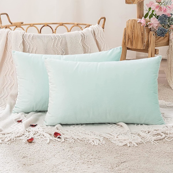 Sæt med 2 fløjlspudebetræk Dekorativ sofa Pudebetræk Super Glat Blød Komfortabel dekoration Hjem Stue Soveværelse Til Sofa 40x80cm Mørk Gr.